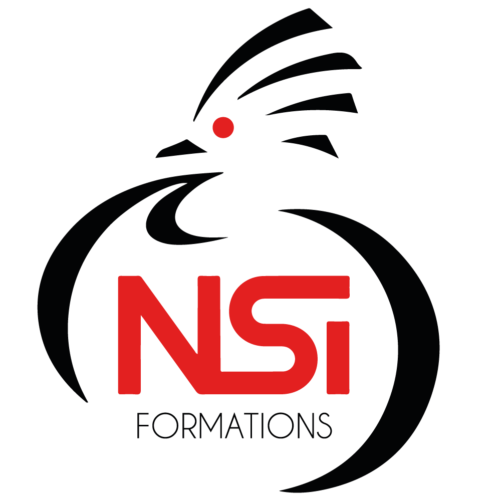 NSI FORMATIONS